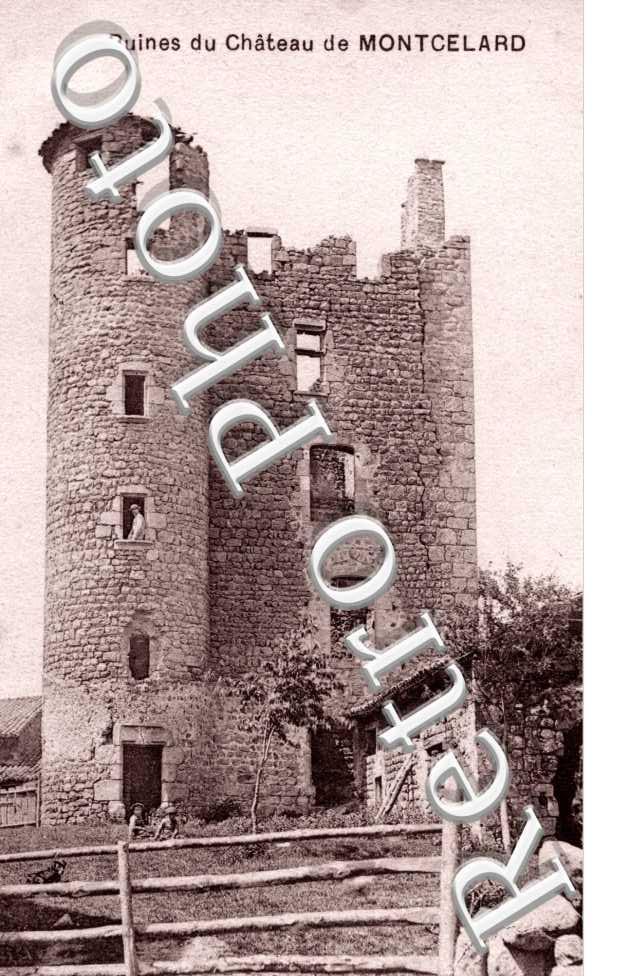 Ruines du Chateau de Montcelard