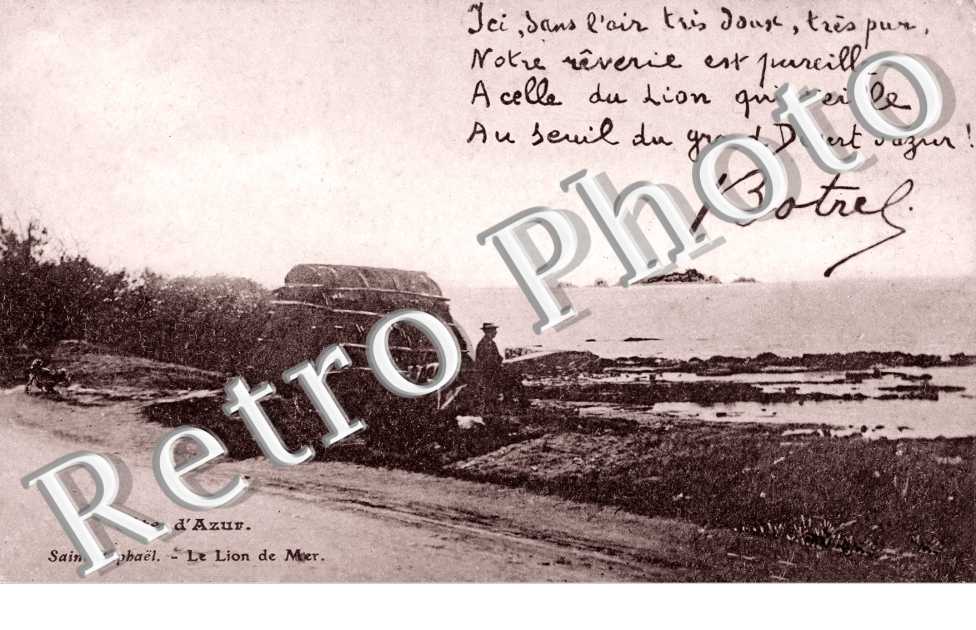 le Lion de Mer