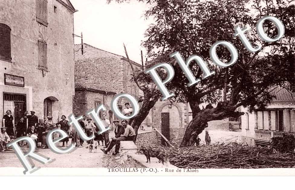 rue de l'Aloes