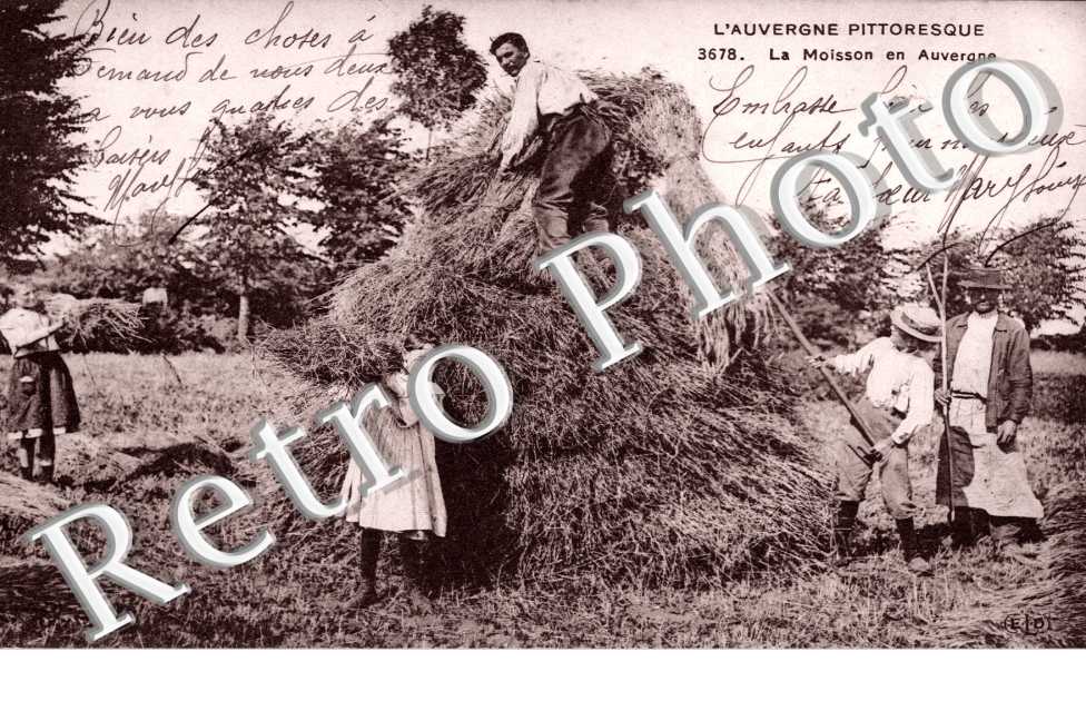 la Moisson en Auvergne