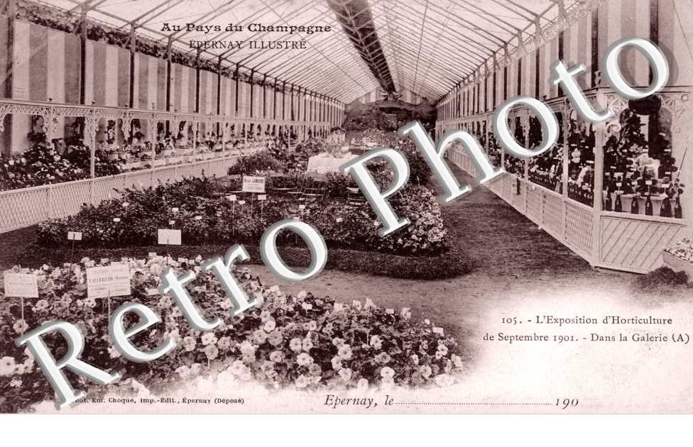 l'exposition d'horticulture de septembre 1901