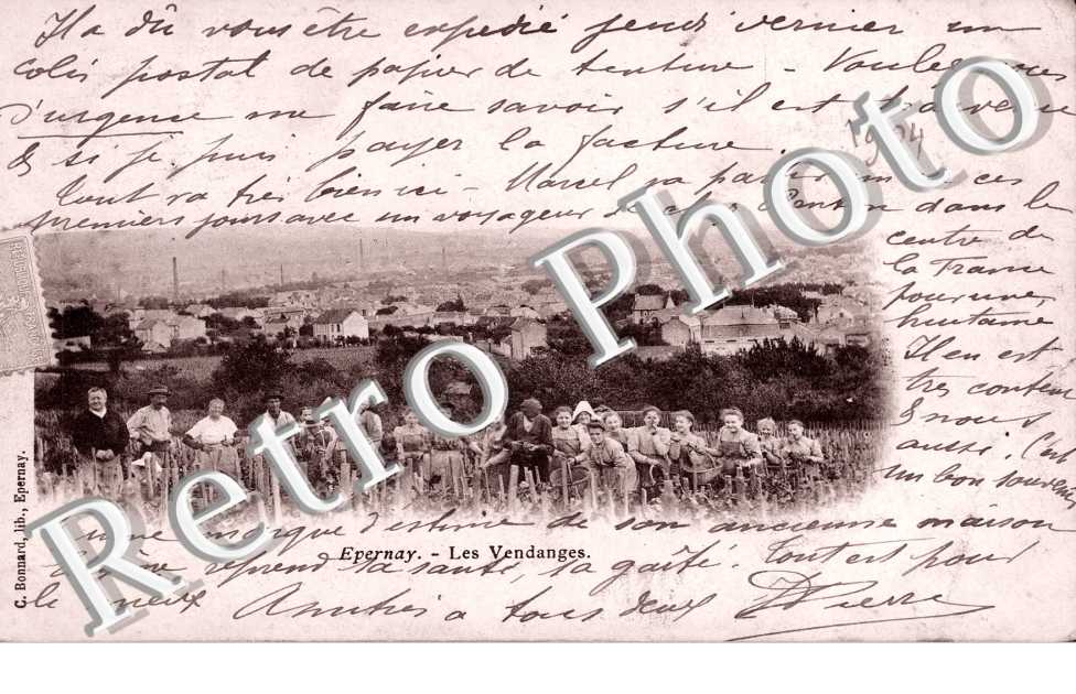 les vendanges