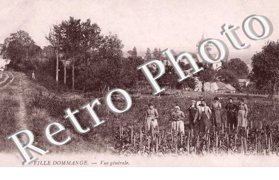 Vue générale 