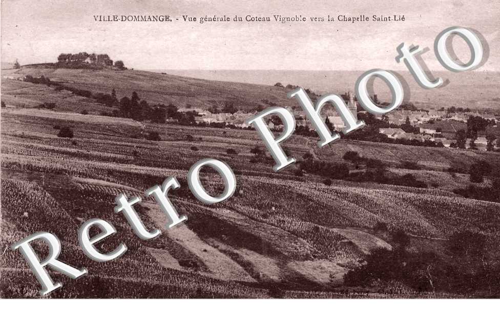 Vue generale  du coteau Vignoble vers la Chapelle Saint-Lie