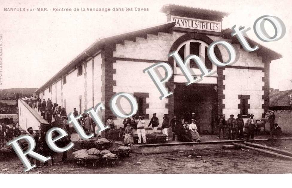 Rentree de la vendange des les Caves