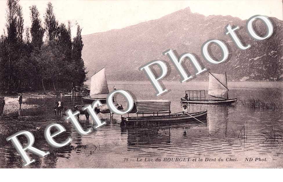 LAC DU BOURGET ET LA DENT DU CHAT(VACHES + BARQUES)