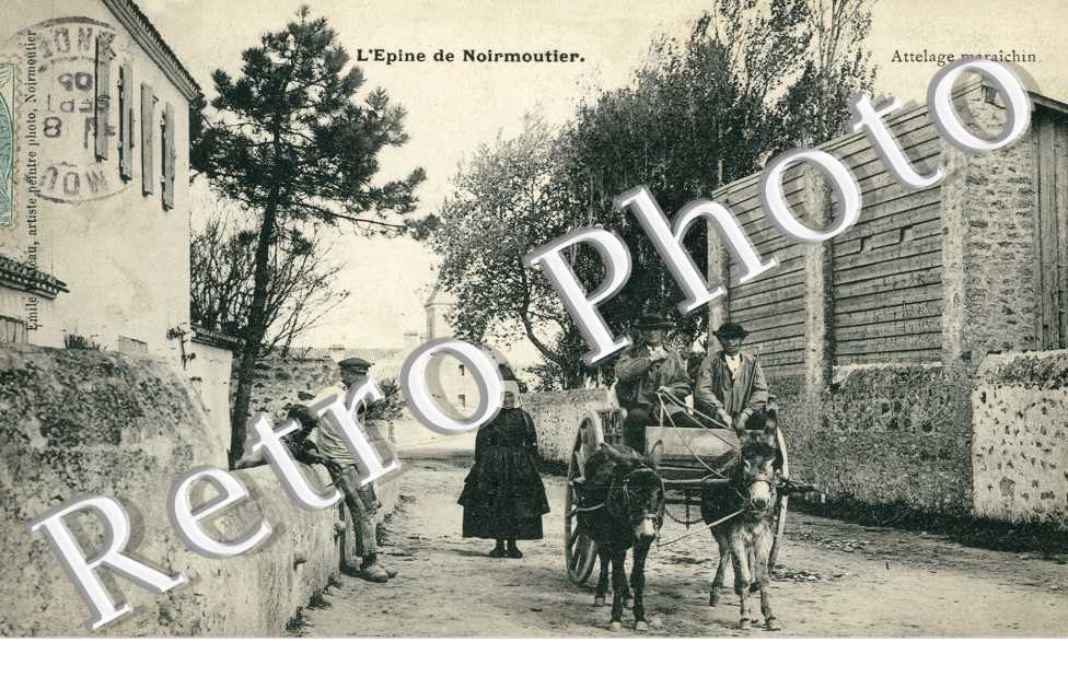 l'Epine - Attelage Maraichin