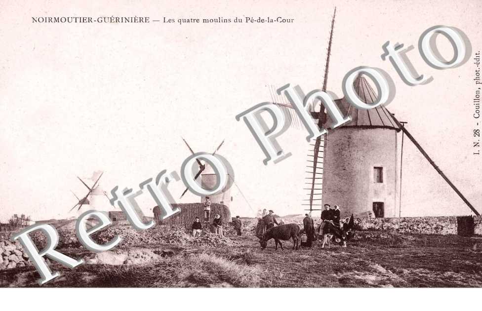 GUERINIERE  les quatre moulins du Pe-de-la-Cour