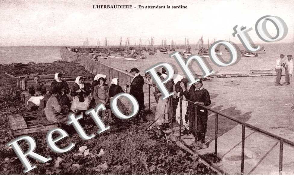 L'herbaudiere - en attendant la sardine