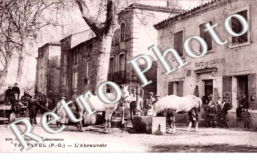 l'abreuvoir