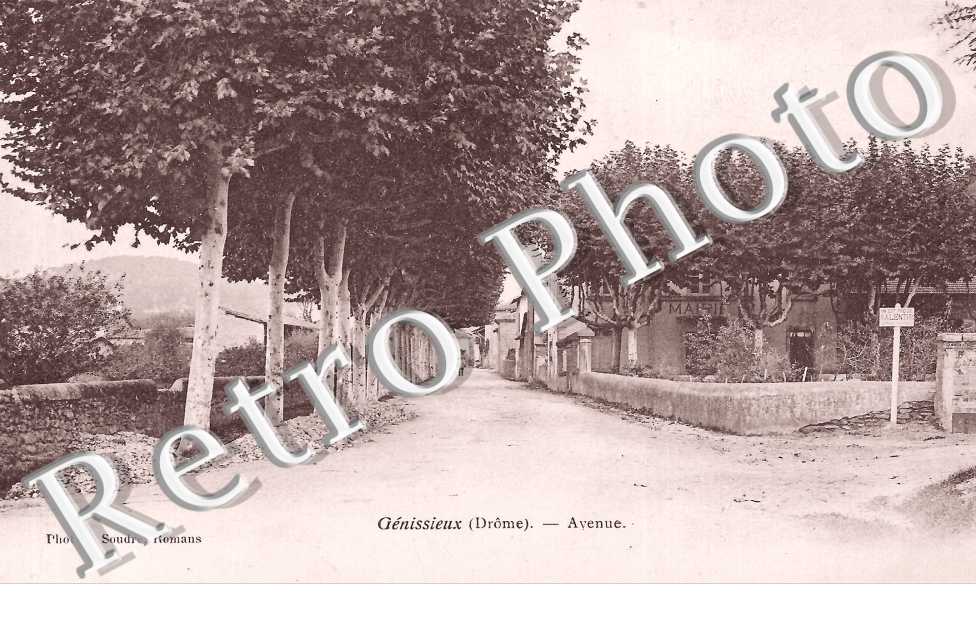 l'avenue
