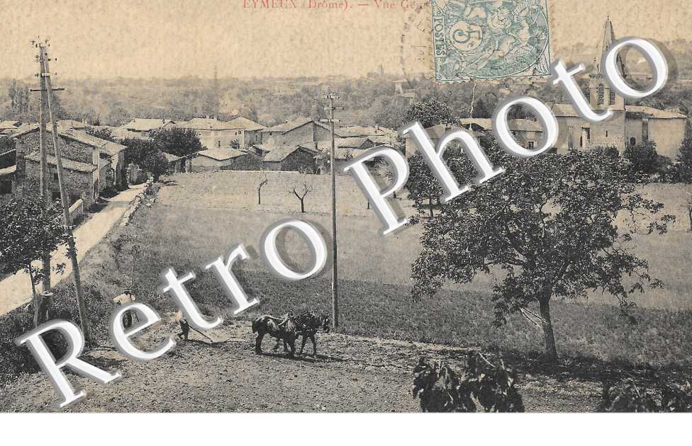 Vue générale 
