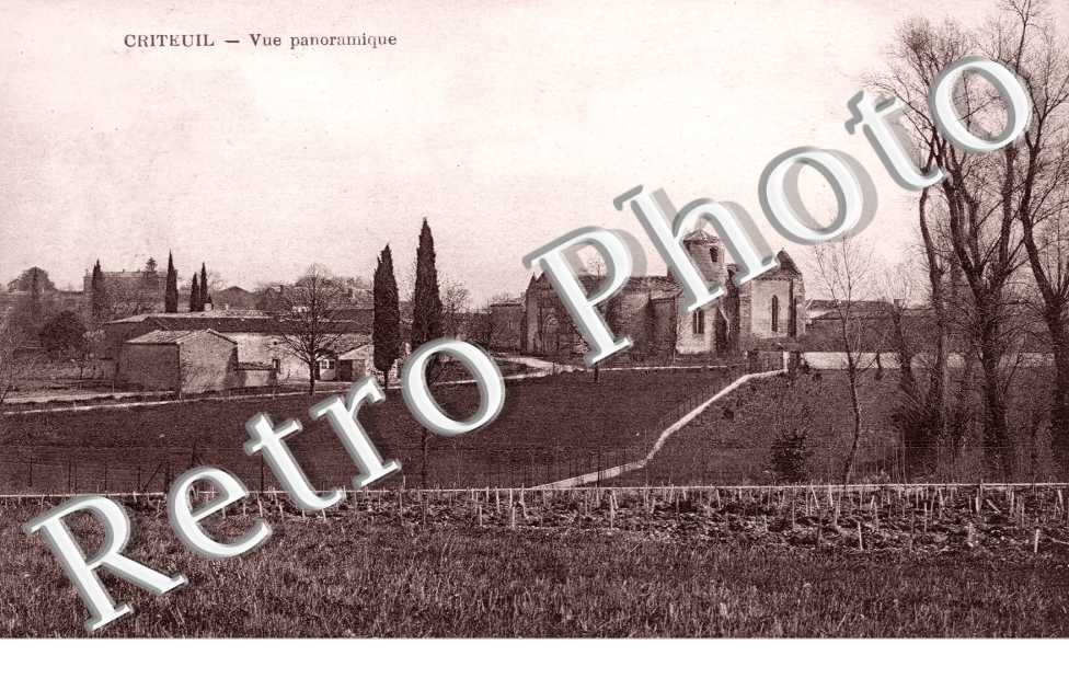 vue panoramique