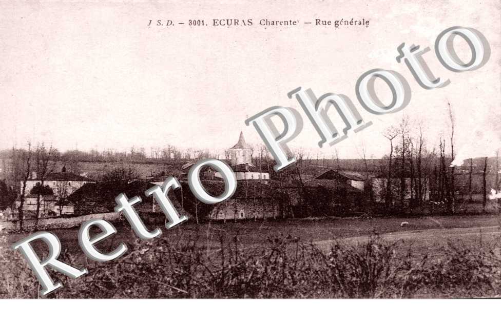 Vue générale 