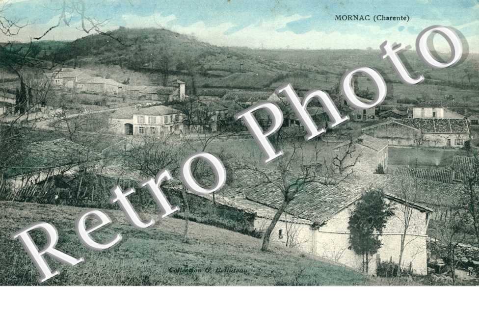 Vue générale 