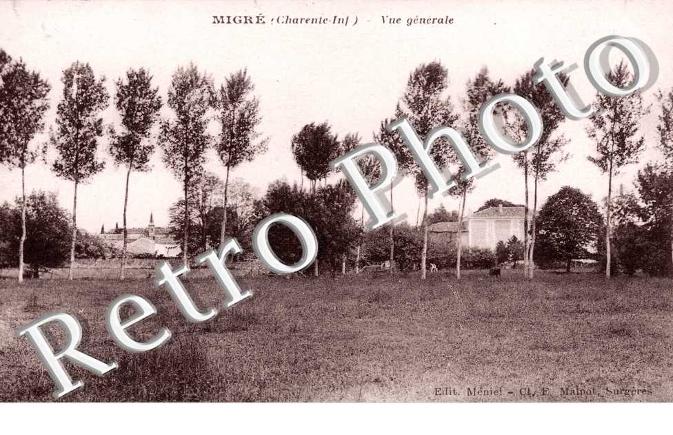 Vue generale