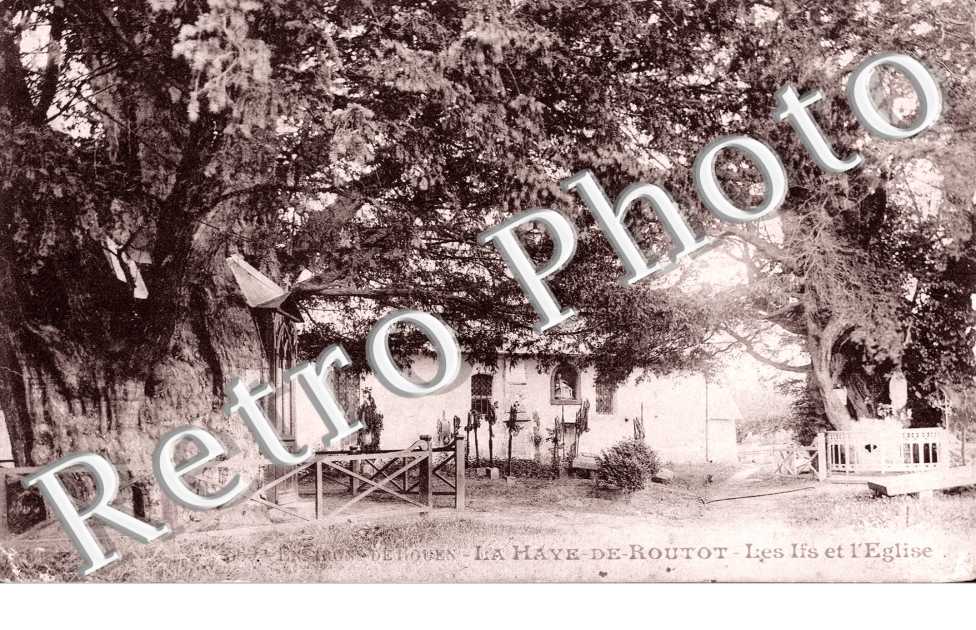 Les Ifs et l'eglise