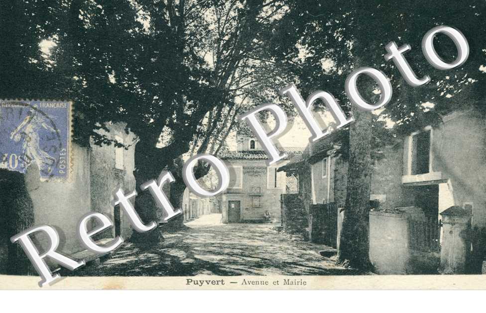 Avenue et mairie