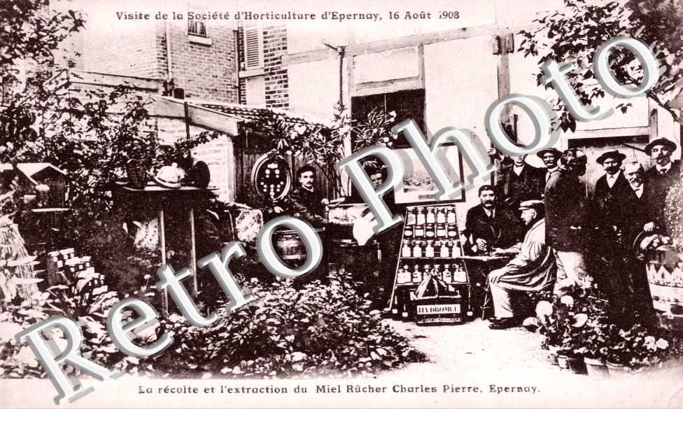 société d'horticulture 16 août 1908 La récolte et l'extraction du miel Rucher Charles Pierre