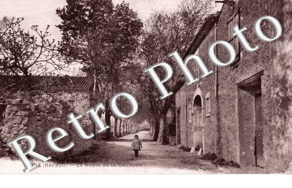 la route de la Caunette