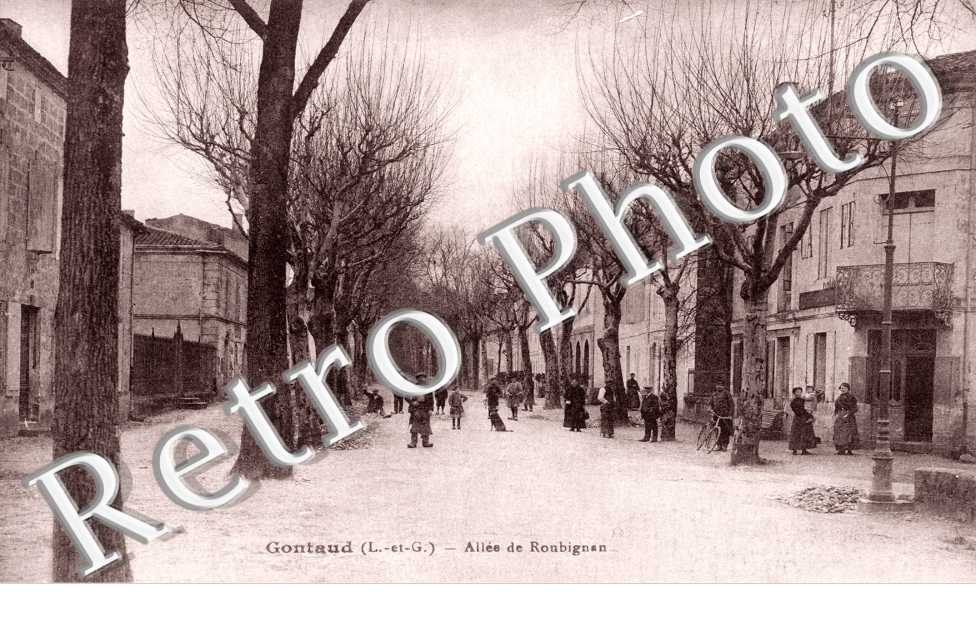 Allée de Roubignan