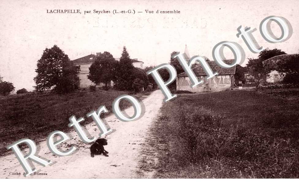 vue d'ensemble