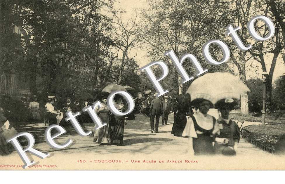 Une allée du jardin royal