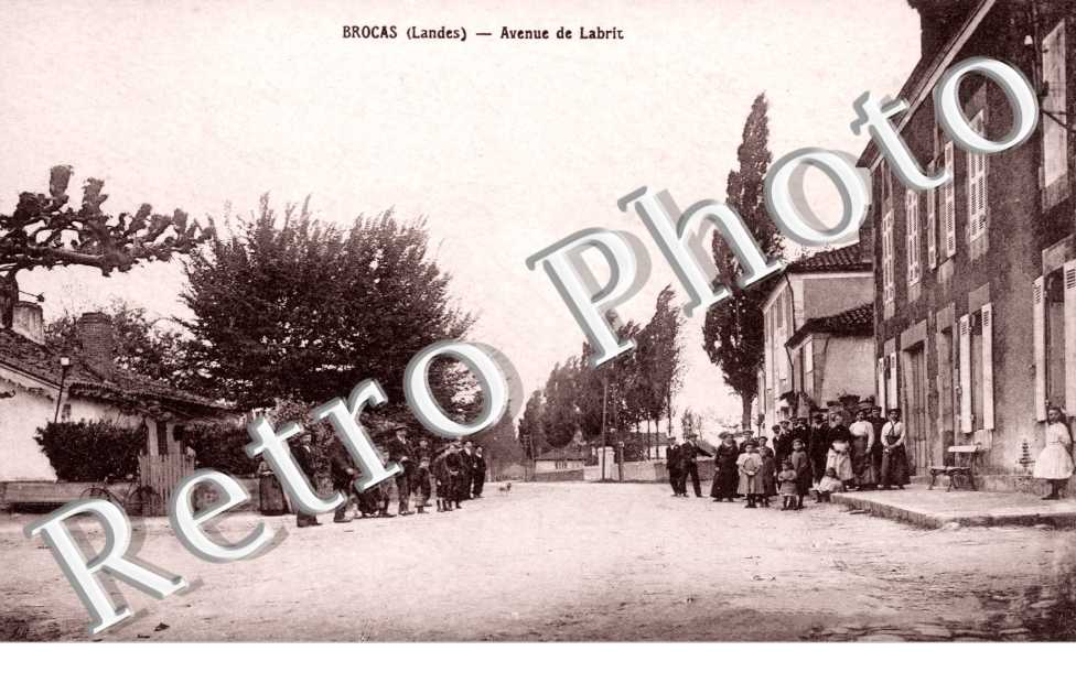 Avenue de labrit