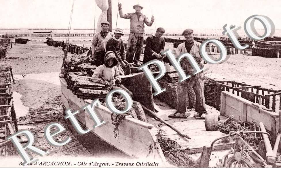 Travaux d'Ostreicoles