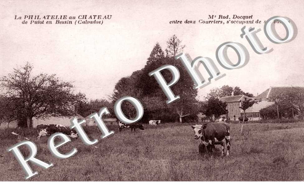 PUTOT EN BESSIN - M. Rod. Docquet entre deux courriers, s'occupant de ses vaches