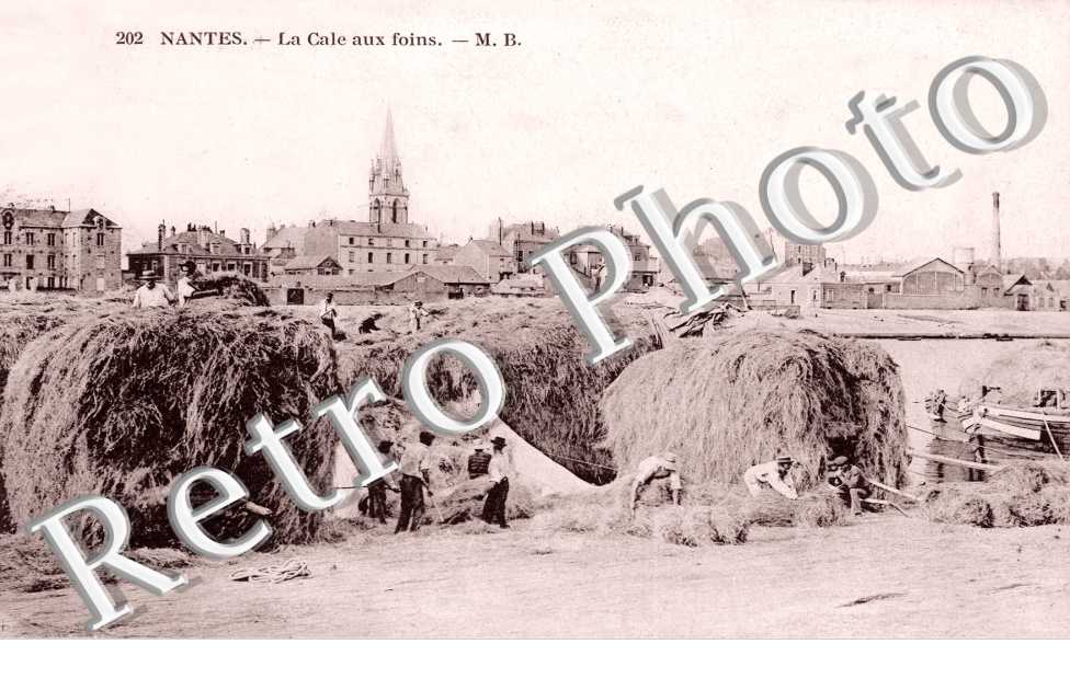 la Cale aux foins