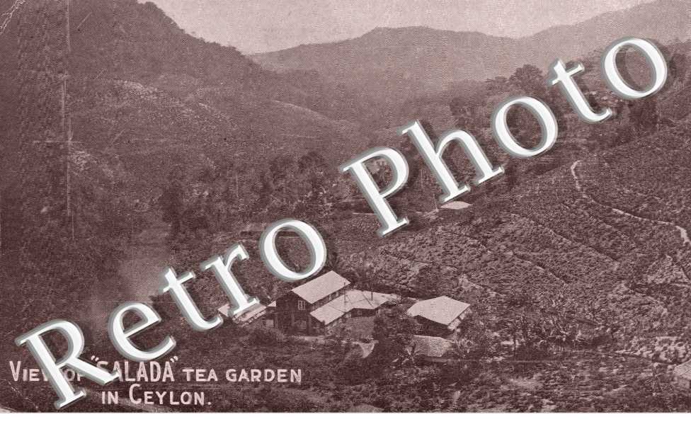 View of Salada