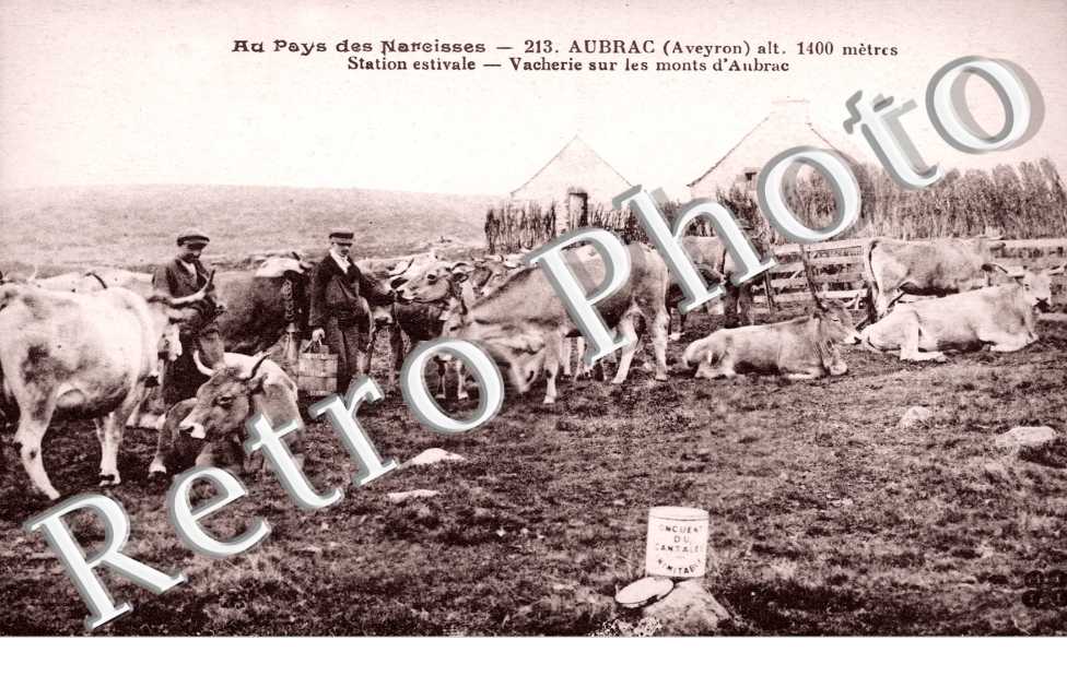 Vacherie sur les monts d'Aubrac