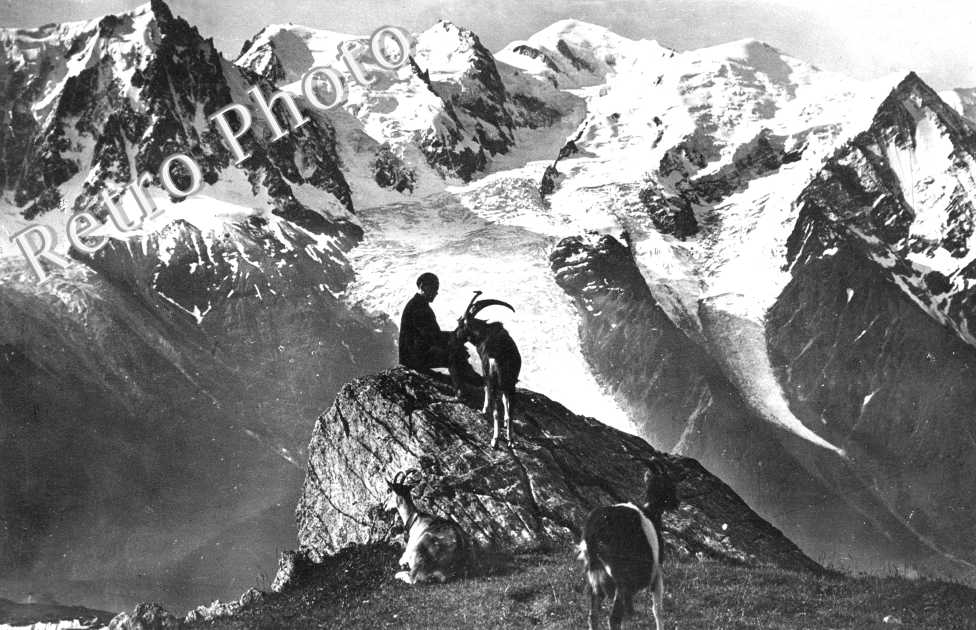Scene pastorale et la chaine du Mont Blanc.