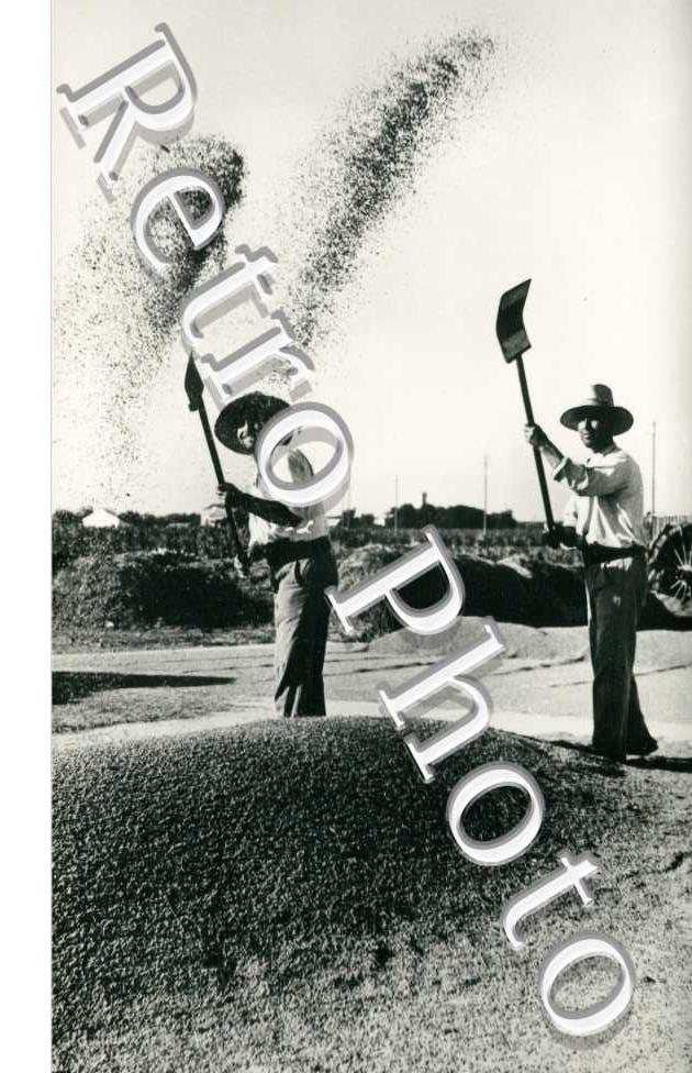 Vannage du riz