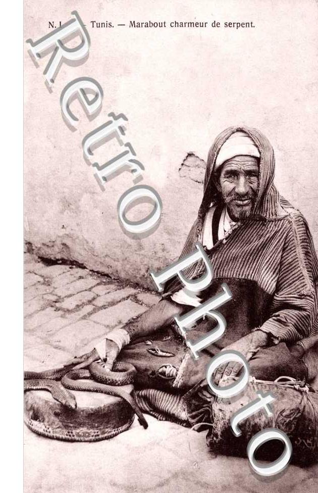 marabout charmeur de serpent