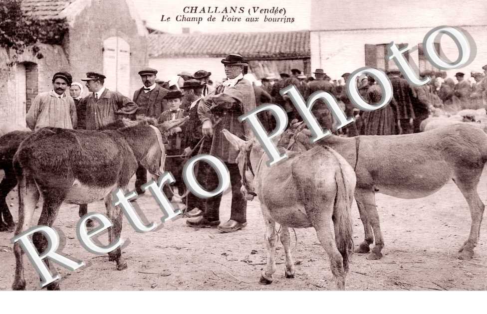 le champ de foire aux bourrins
