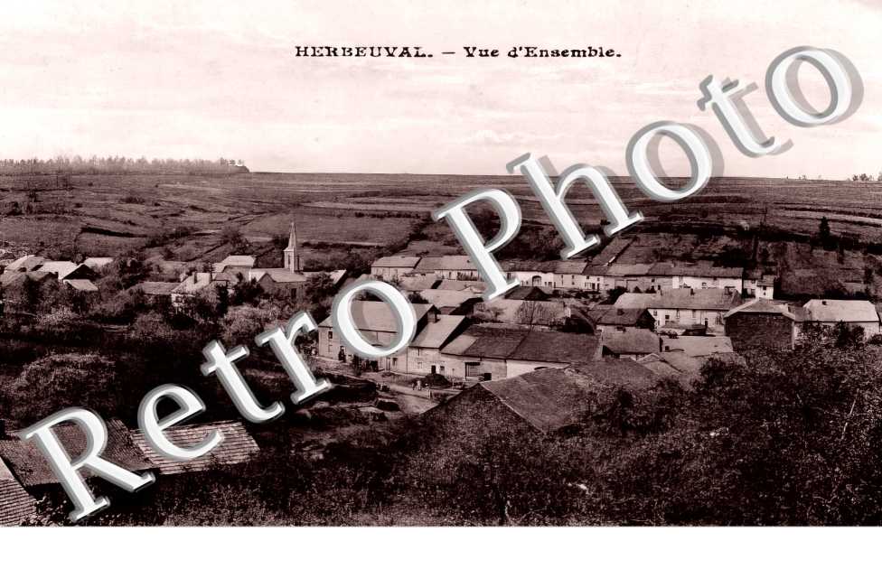 vue d'ensemble