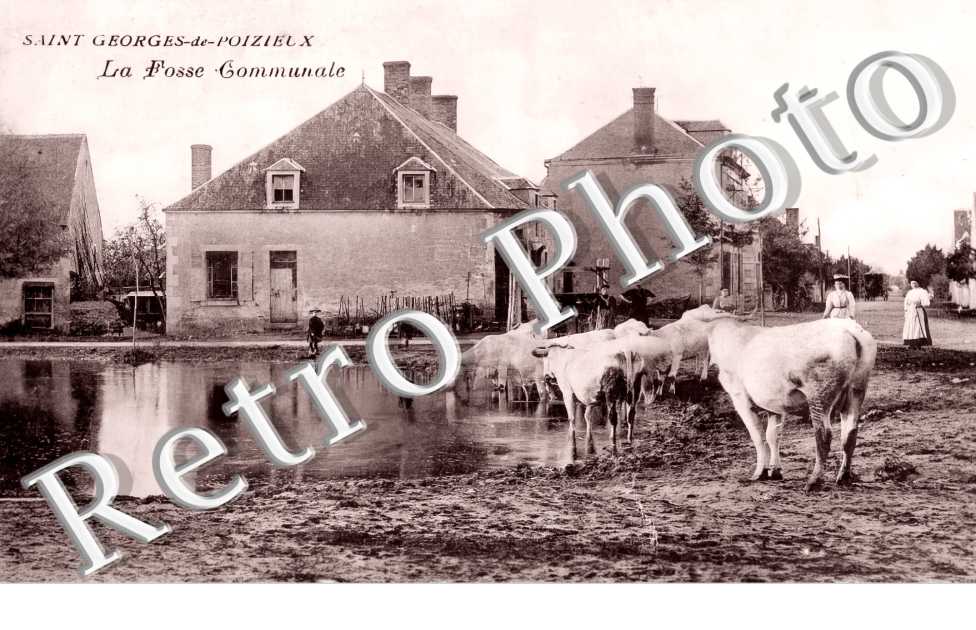 la fosse communale