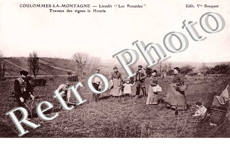 Lieudit " Les Renaides ". Travaux des vignes la Hourie.