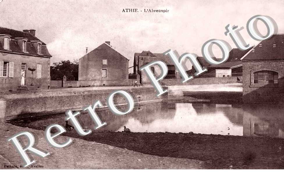 l'abreuvoir