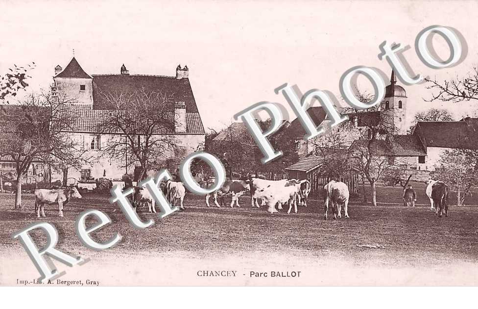 parc Ballot