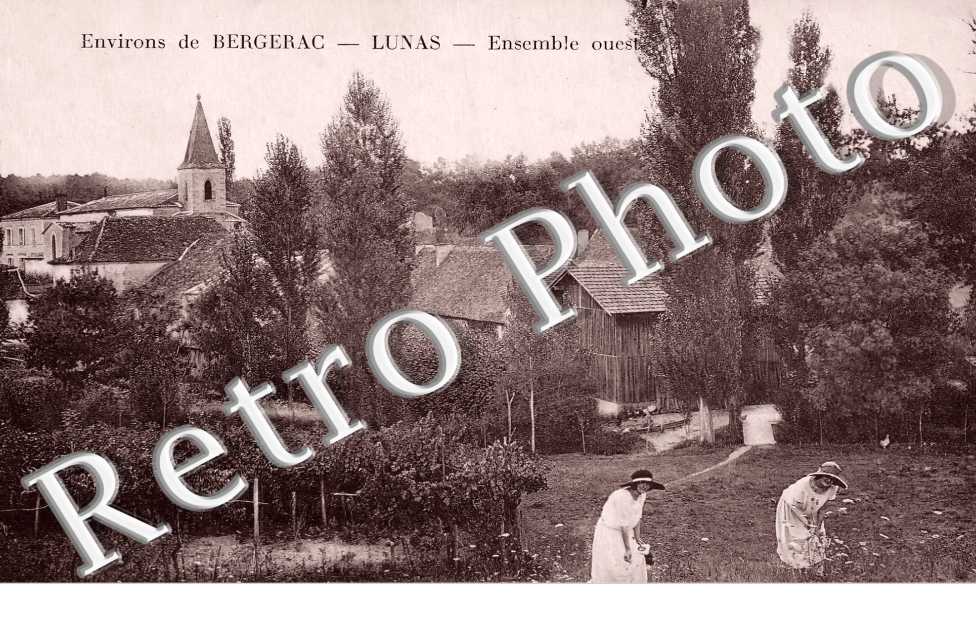 vue générale