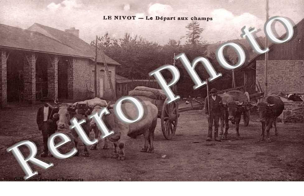 LE NIVOT le départ aux champs