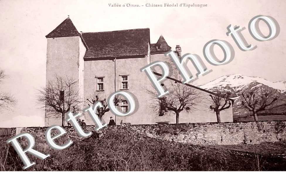 Château féodal d'Espalungue