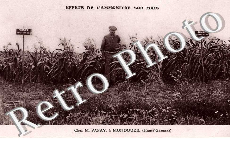 chez M. Papay à Mondouzil