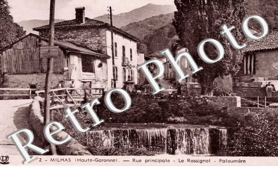 rue principale Le Rossignol. Paloumère.