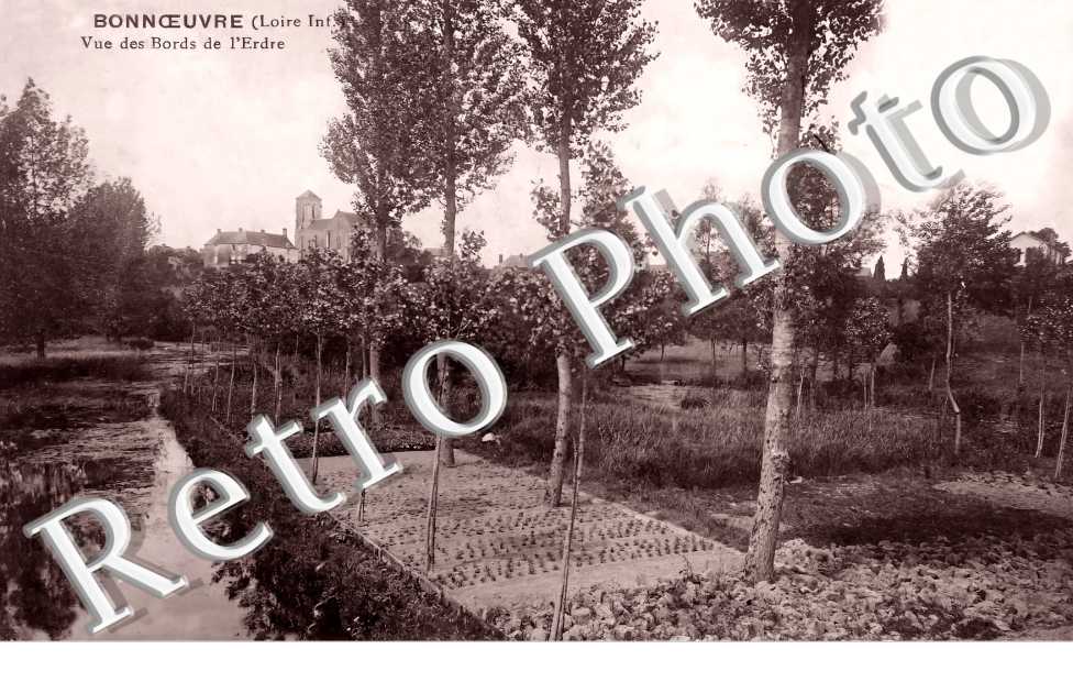 vue des bords de l'Erdre
