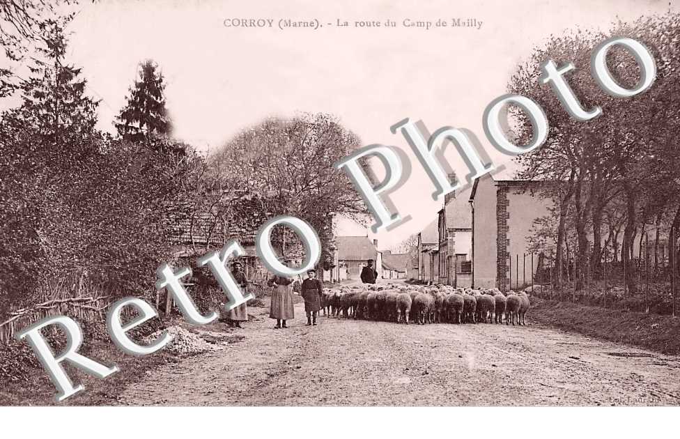 la route du camp de Mailly