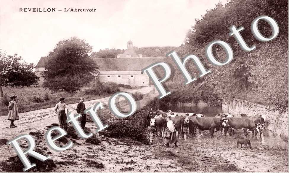 l'abreuvoir